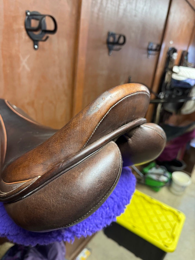 COLLEGIATE Collegiate Graduate Adjustable Gullet CC 17.5 (6)