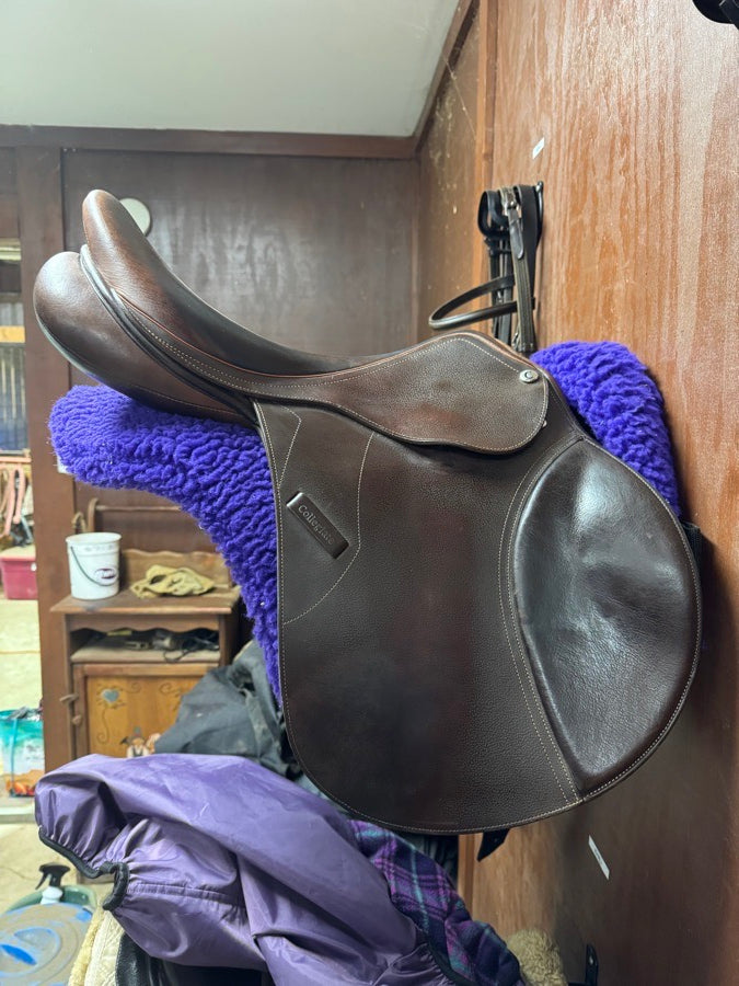 COLLEGIATE Collegiate Graduate Adjustable Gullet CC 17.5 (3)