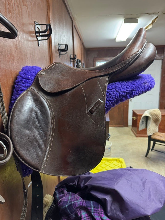 COLLEGIATE Collegiate Graduate Adjustable Gullet CC 17.5