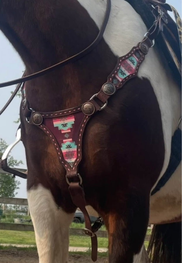 Other Desert rose equine tack set (2)