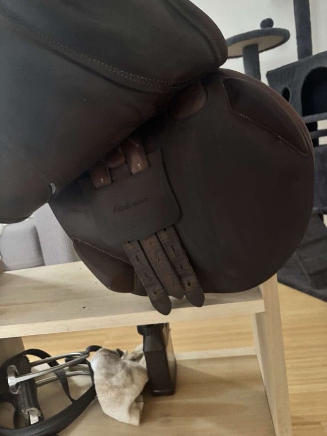 Other 16.5 Antares saddle for sale (2)