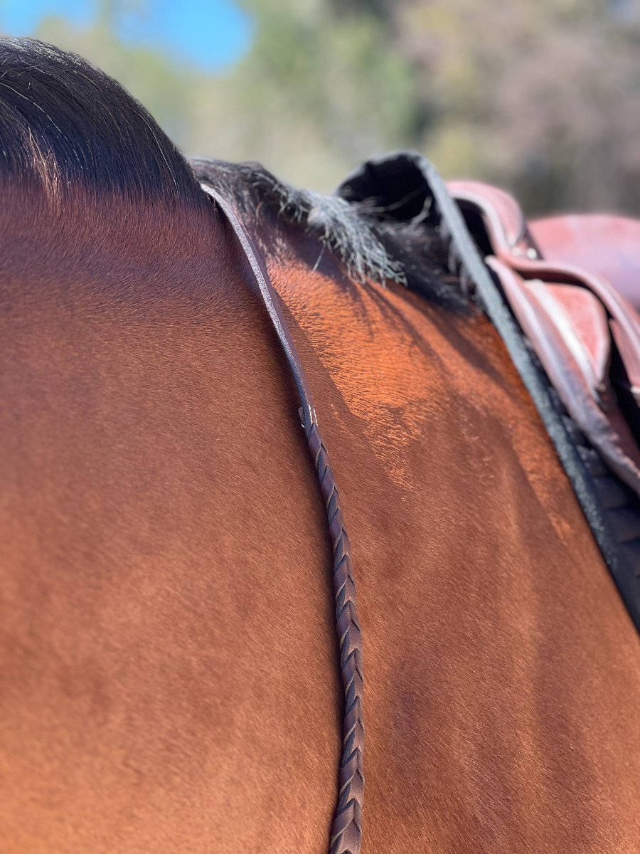 HOPLA Sellerie Hunter Braided Reins With Fancy Stitching
