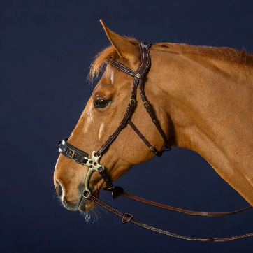 DY'ON Dy’on Hackamore Bridle (8)
