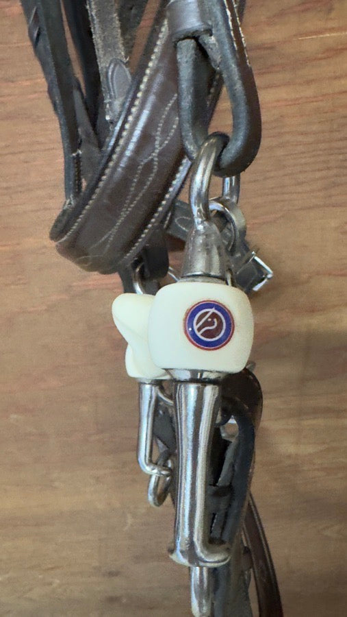 Other Trust Pelham Bit (2)