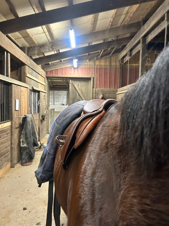 PRESTIGE Prestige Nona Garson (6)