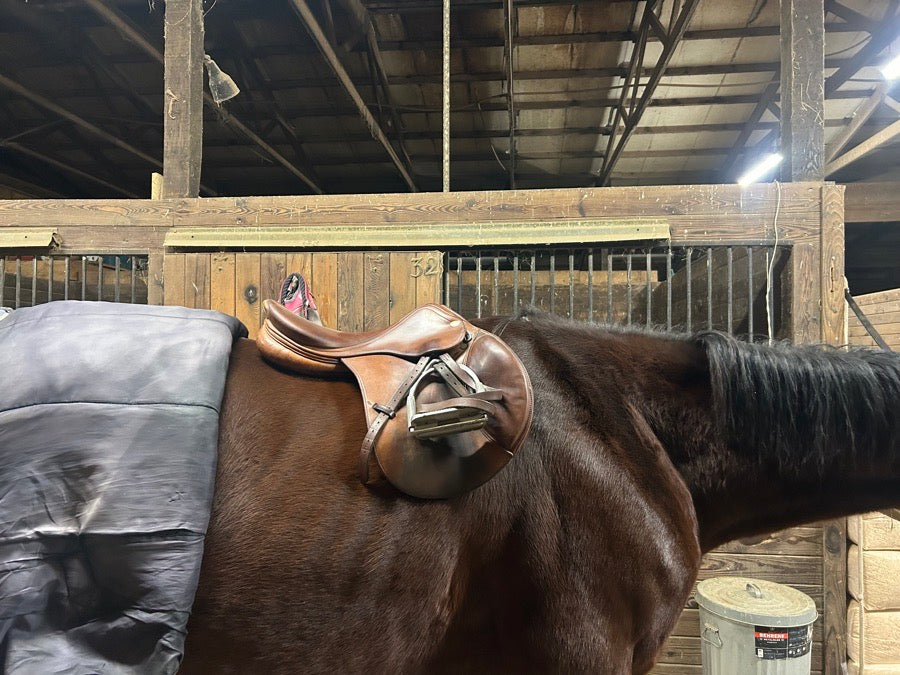 PRESTIGE Prestige Nona Garson (5)