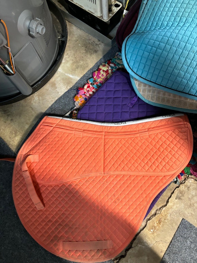 ECP saddle pad event