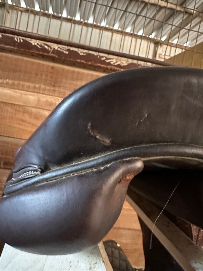 VOLTAIRE Voltaire Lexington 17.5 (6)