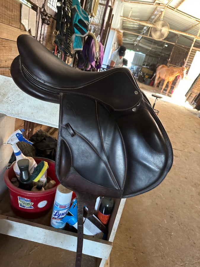 VOLTAIRE Voltaire Lexington 17.5 (2)