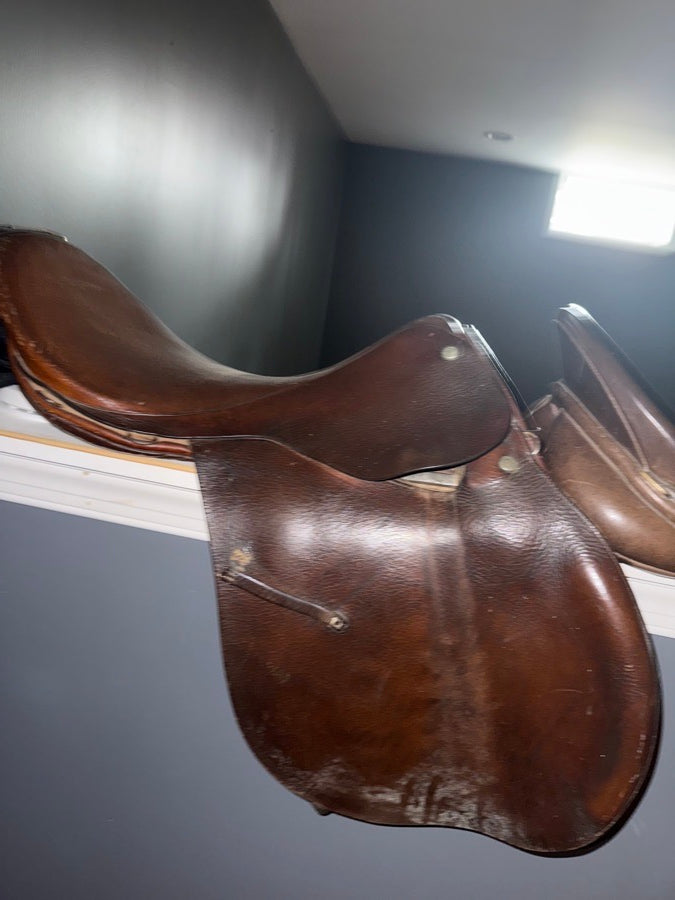 OTHER Lesson saddle