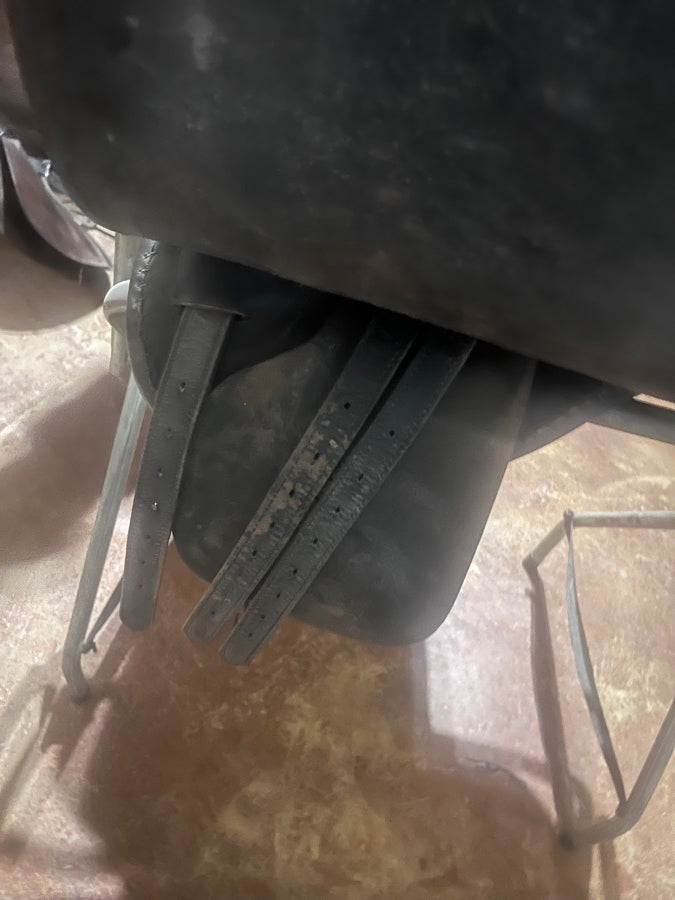 Other TSI Stallion Saddleseat/All Purpose (5)