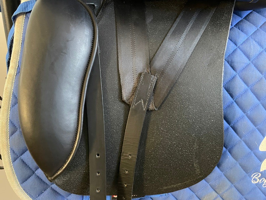 OTHER 18” Forestier Lynn Palm - 5.5” dot to dot (5)