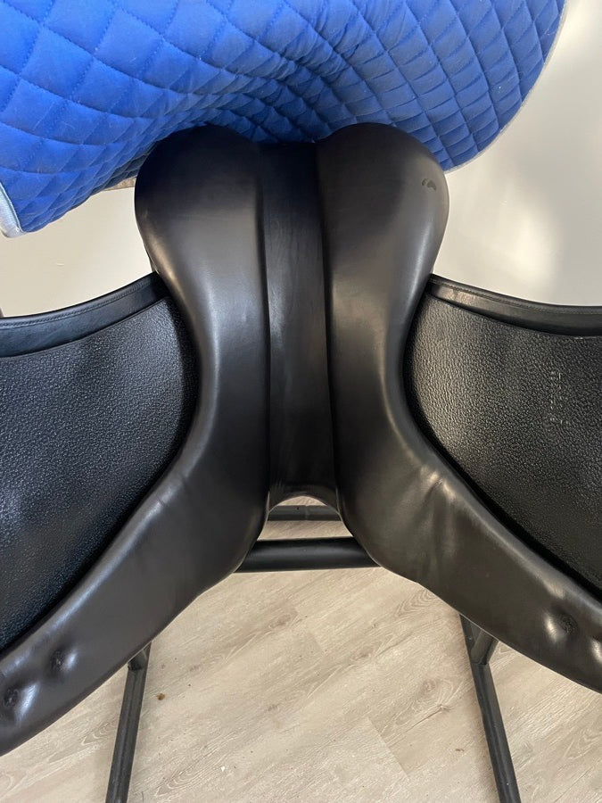 OTHER 18” Forestier Lynn Palm - 5.5” dot to dot (8)