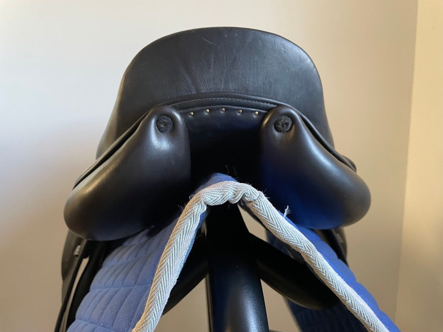 OTHER 18” Forestier Lynn Palm - 5.5” dot to dot (4)