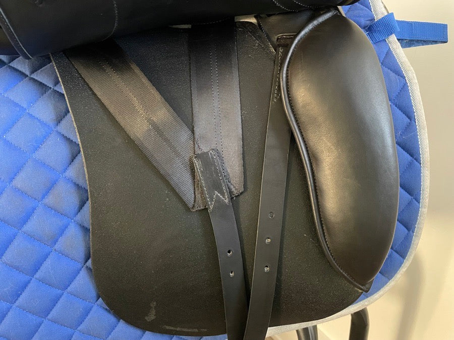 OTHER 18” Forestier Lynn Palm - 5.5” dot to dot (6)