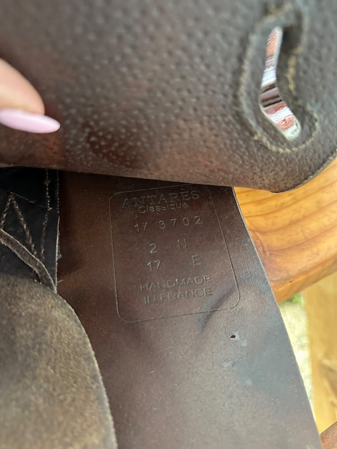 ANTARES 2017 Antares (3)