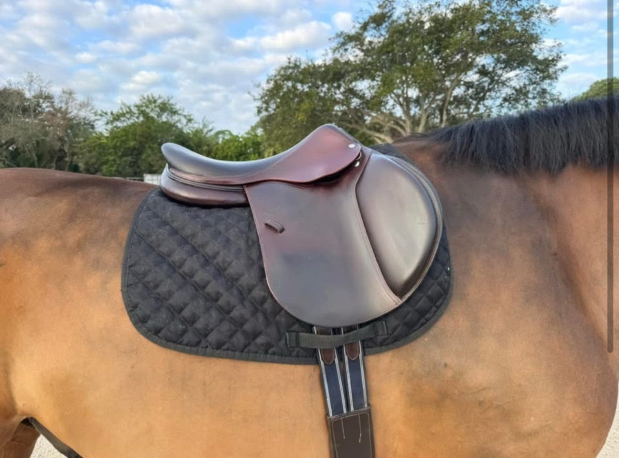 DEVOUCOUX Saddle for sale