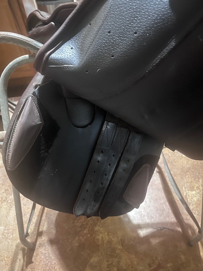 OVATION Ovation Sellerie (4)