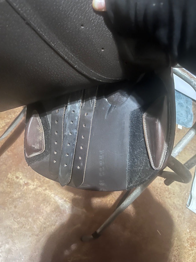 OVATION Ovation Sellerie (3)