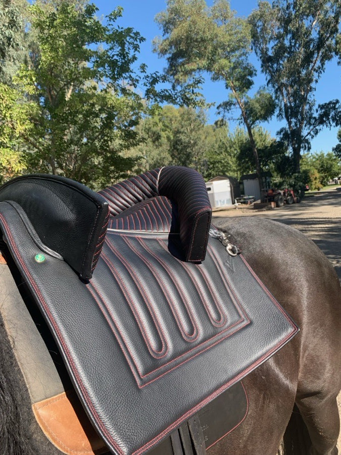 Other Ludomar Saddle (2)