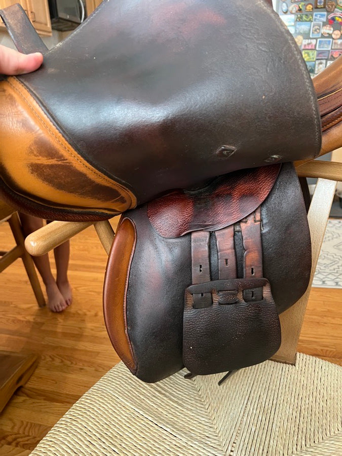 PESSOA 16.5” Pessoa classic (2)