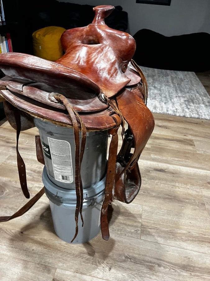 Other western roping saddle (3)