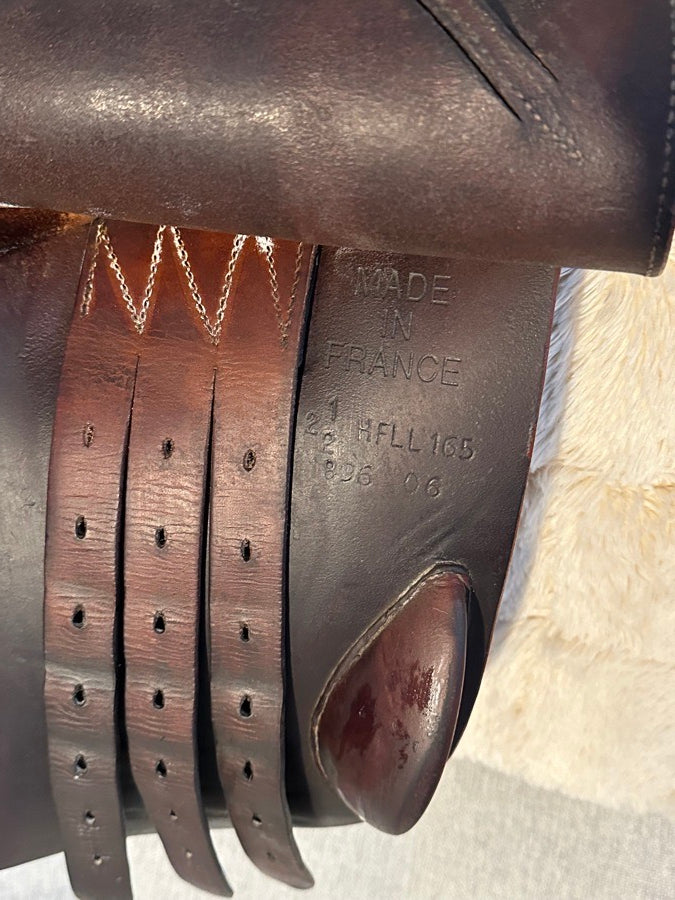 CHILDERIC 16.5” Childeric HFFL Close Contact (4)