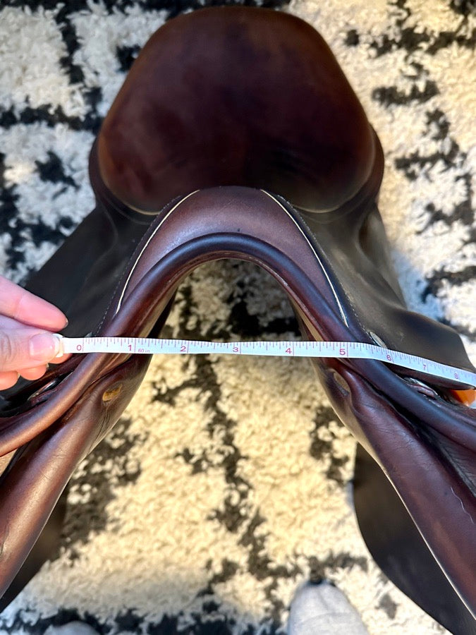 CHILDERIC 16.5” Childeric HFFL Close Contact (6)