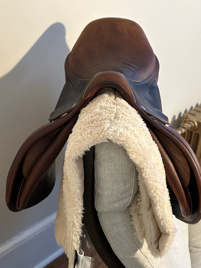 CHILDERIC 16.5” Childeric HFFL Close Contact (2)