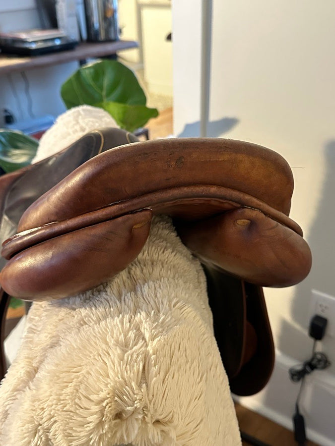 CHILDERIC 16.5” Childeric HFFL Close Contact (3)