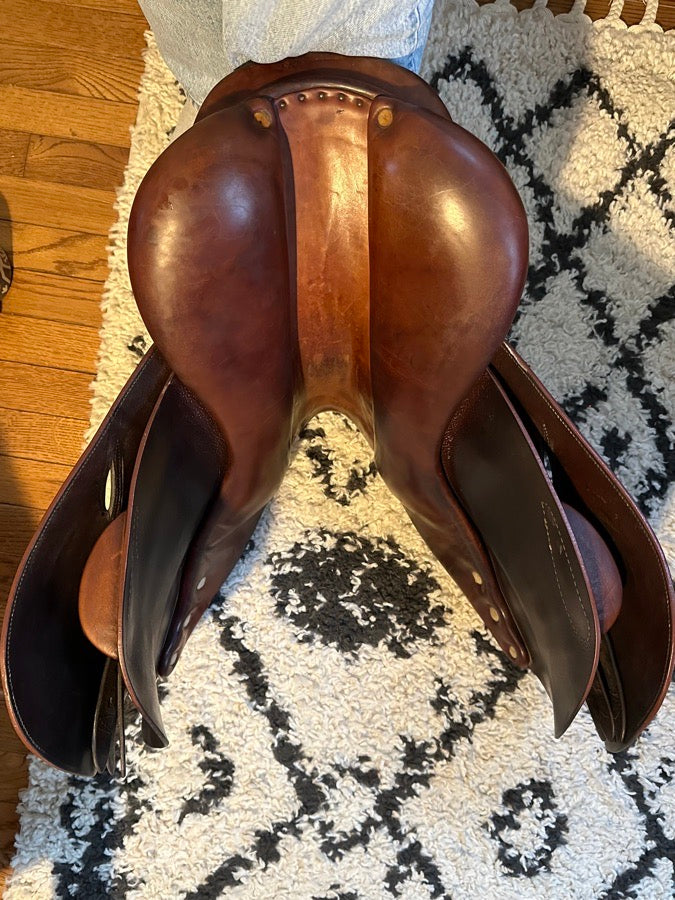 CHILDERIC 16.5” Childeric HFFL Close Contact (5)