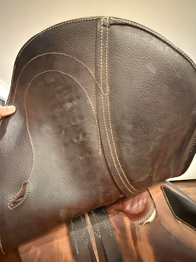 ANTARES Antarès saddle for sale! (8)