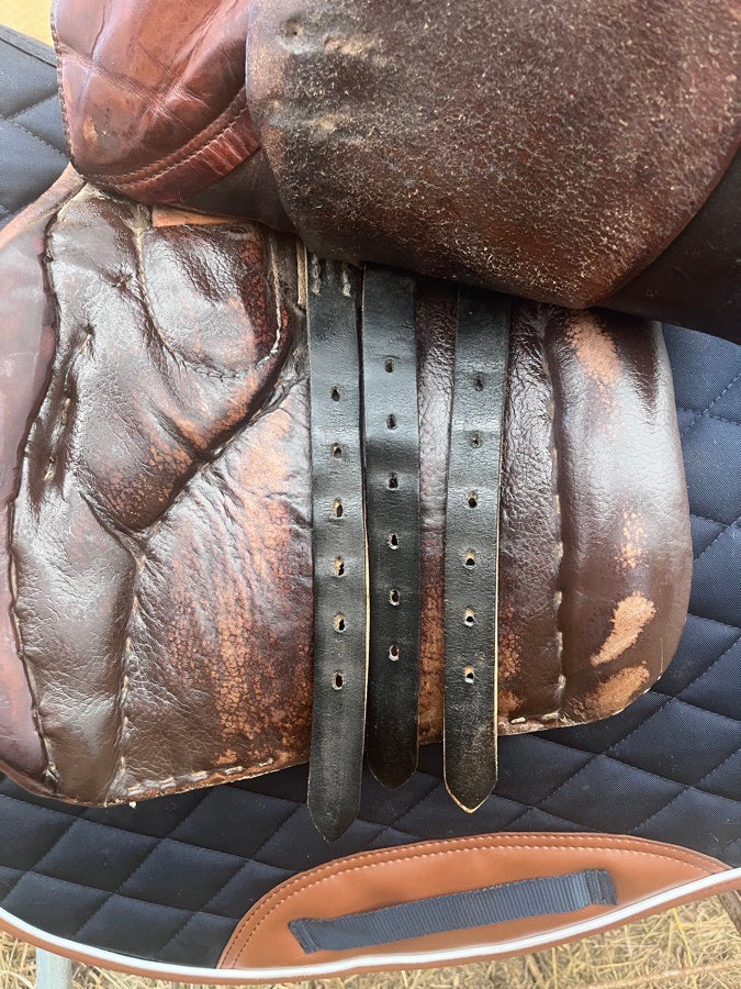 STUBBEN Stubben Sigfried AP 17” MW (4)