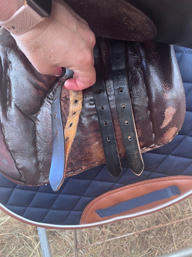 STUBBEN Stubben Sigfried AP 17” MW (5)