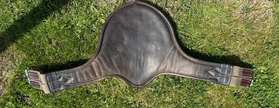 VOLTAIRE Voltaire Belly guard pony size! (2)