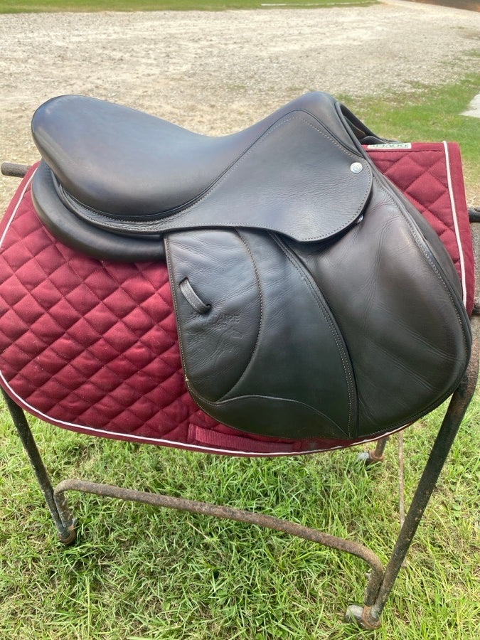 VOLTAIRE 2016 Voltaire Palm Beach (2)