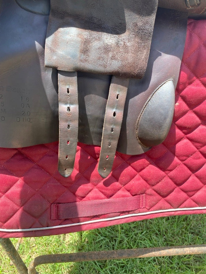 VOLTAIRE 2016 Voltaire Palm Beach (7)