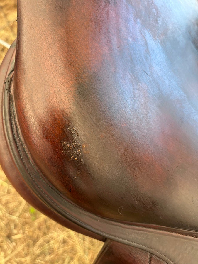 CWD CWD jump saddle 17” M (6)