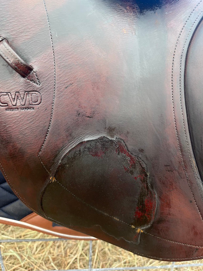 CWD CWD jump saddle 17” M (5)