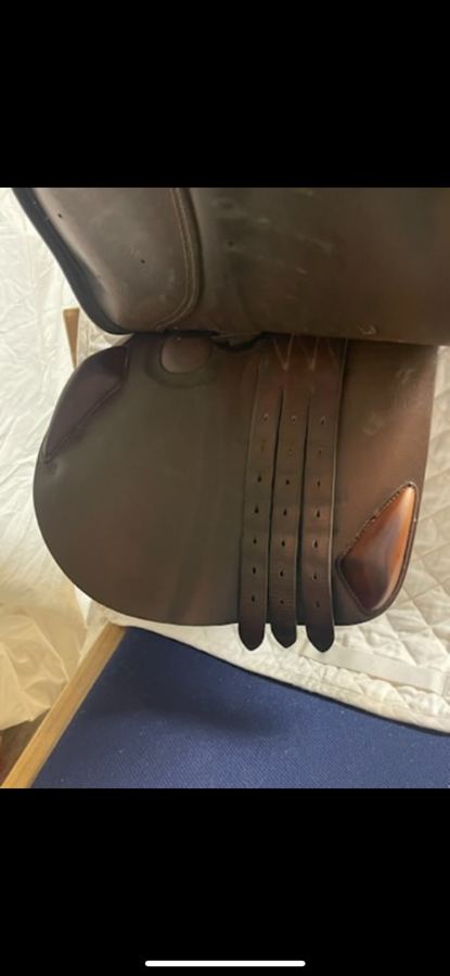 BUTET Rare L’Apogeé French Saddle (4)