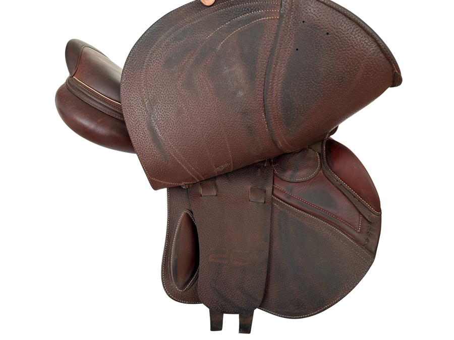 CWD CWD MADEMOISELLE - SE31 17" 2C 2022 (3)