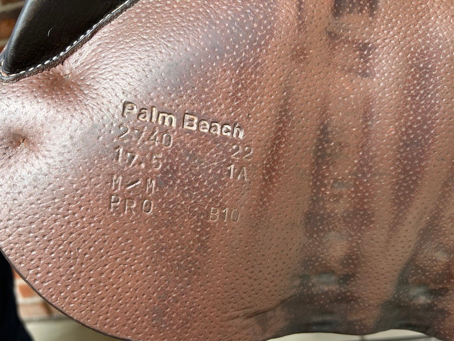 VOLTAIRE 2022 Palm Beach Pro 17.5 1A (3)
