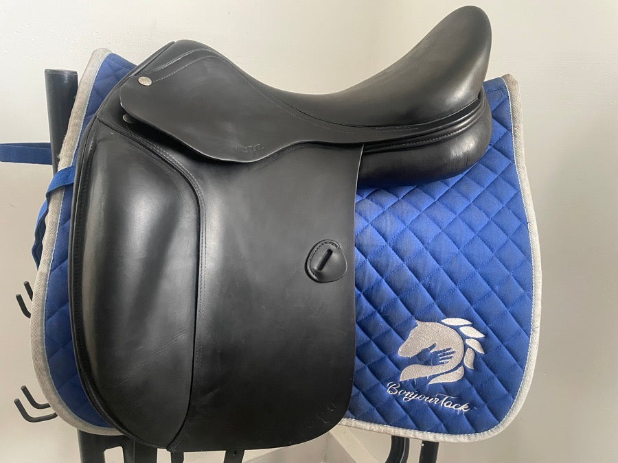 AMERIGO 18” Amerigo Vega - wide