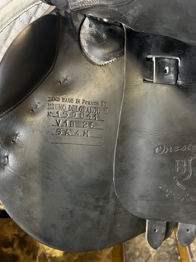 BRUNO DELGRANGE 18” Bruno DelGrange Virtouse (3)