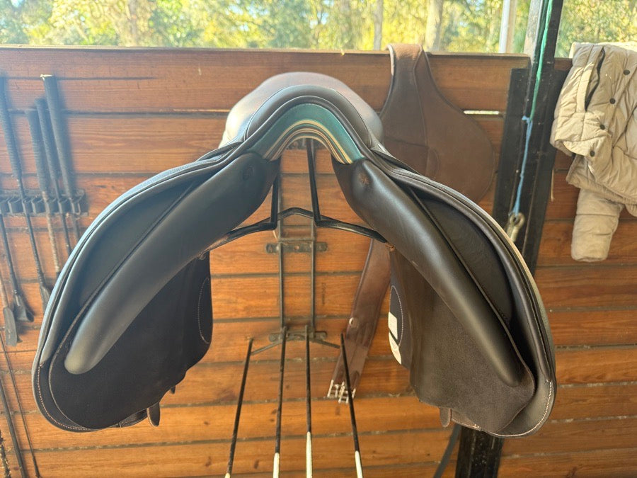 VOLTAIRE 2024 NEW 18.5 Voltaire (3)