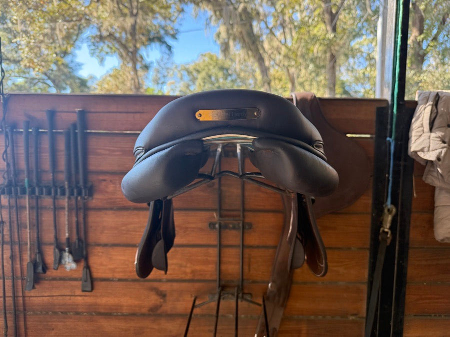 VOLTAIRE 2024 NEW 18.5 Voltaire (2)