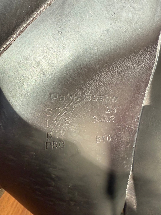 VOLTAIRE 2024 NEW 18.5 Voltaire (7)