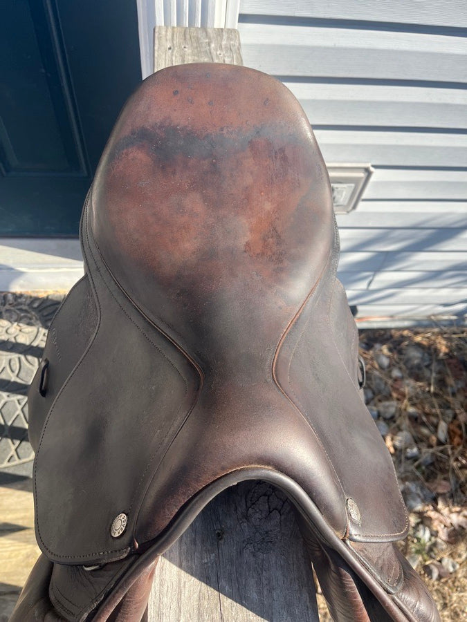 DOVER CIRCUIT Dover Circuit Saddle (3)