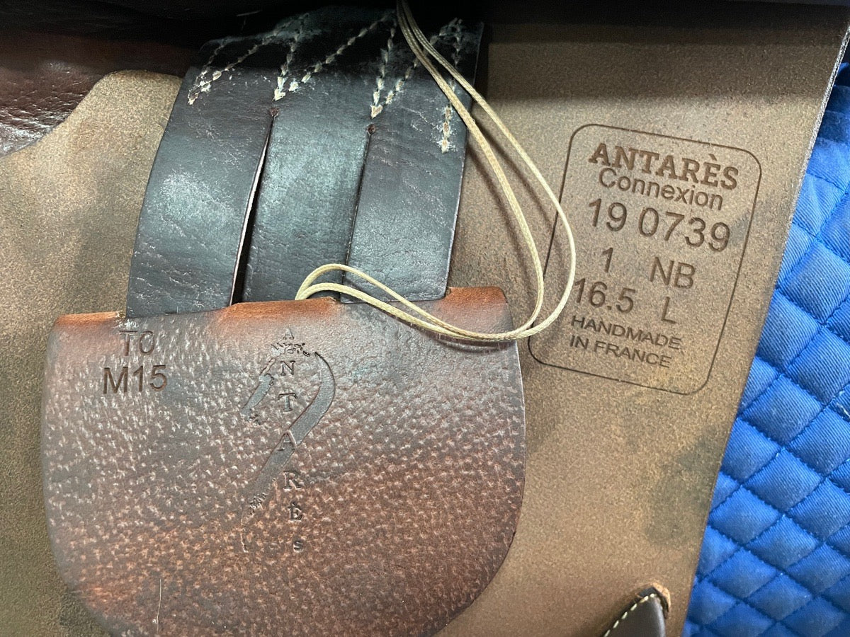 ANTARES 16.5” Antares Connexion - 2019 - 1NB - 4.75” dot to dot (6)