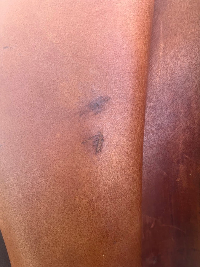 BRUNO DELGRANGE PJ/Bruno DelGrange (8)